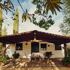 https://vivienda-turstica-la-huerta.es-andalucia.com